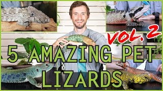 Five MORE of the Best Pet Lizards You Could Possibly Get [upl. by Onidranreb857]