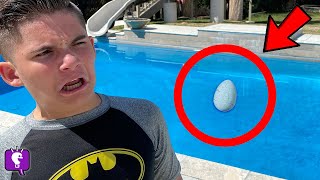 Mystery EGG in our POOL at HobbyFamilyTV [upl. by Panter]