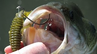 How To Texas Rig A Plastic Bait The Right Way  Bass Fishing [upl. by Artair]