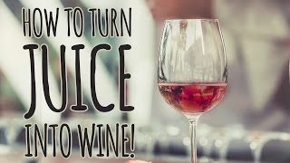 The Easy Way to Make Wine From Store Bought Juice 🍷 [upl. by Chimene]