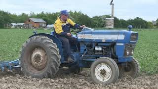 FORD 3000 AND OLIVER CULTIVATOR [upl. by Nevi]