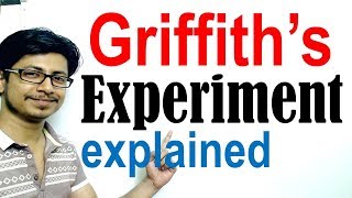 Griffiths experiment [upl. by Silado308]