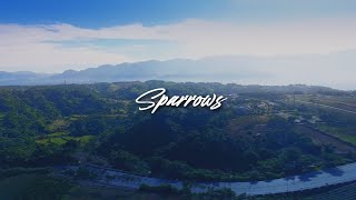 Cory Asbury  Sparrows Lyric Video [upl. by Gorges]