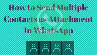 How to Send Multiple Contacts on WhatsApp at once [upl. by Poll888]