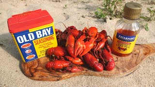 Catch n Cook SPICY Crawfish on the Riverside [upl. by Hayyifas813]