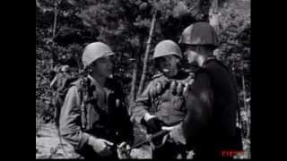 Cease Fire  1953 Korean War Film [upl. by Lavotsirc]