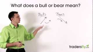 What Does a Bull and Bear Mean in the Stock Market [upl. by Pahl]