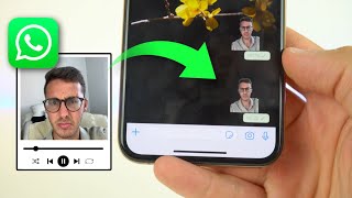 Crear STICKERS ANIMADOS en WhatsApp fácil y sin fondo ✅ [upl. by Caesaria]