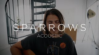 Sparrows Acoustic  Cory Asbury [upl. by Clemente]