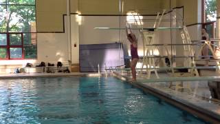 Teach a Flip for Springboard Diving [upl. by Lytsirk]