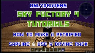 Minecraft  Sky Factory 4  How To Make a Petrified Sapling amp Use a Drying Rack [upl. by Wordoow]