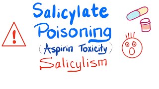 Making oil of wintergreen kind of Ethyl salicylate [upl. by Jurkoic921]