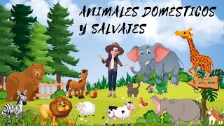 ANIMALES DOMESTICOS 🐶 y SALVAJES 🦒 para NIÑOS [upl. by Ocire472]