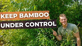 How to PruneMaintain BAMBOO plants and keep them under control [upl. by Leis178]