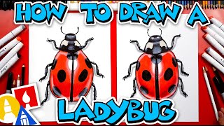 How To Draw A Realistic Ladybug [upl. by Emmerie]