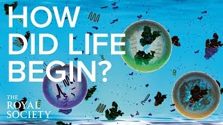 How did life on Earth begin  The Royal Society [upl. by Nnayr]