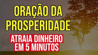 ORAÇÃO DA PROSPERIDADE E DO DINHEIRO EM 5 MINUTOS [upl. by Alenairam]