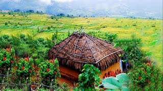 Munnar kerala tourism video  aerial view [upl. by Alegnaoj]