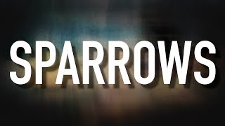 Sparrows  Lyric Video Jason Gray [upl. by Ahen891]