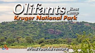 Olifants Rest Camp Review Kruger National Park [upl. by Justina637]