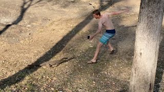 BIG goanna lizard running and chasing person FUNNY  JustBecause [upl. by Ayahsal]