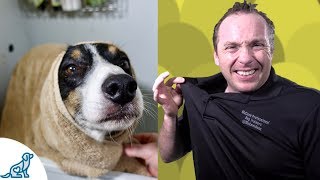 Simple Hacks To Bath Your Dog  Professional Dog Training Tips [upl. by Nivri]