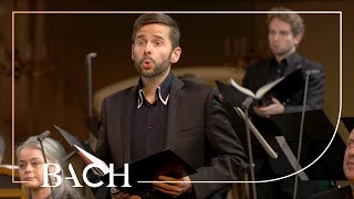 Bach  Zion hört die Wächter singen from Cantata BWV 140  Netherlands Bach Society [upl. by Eelrefinnej776]