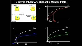 Enzyme Inhibitors  Mechanisms MichaelisMenten Plots amp Effects [upl. by Attehcram]