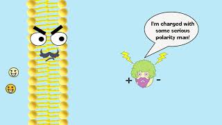 Facilitated Diffusion Explained [upl. by Ellesig607]