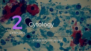 Cytology [upl. by Akemal]