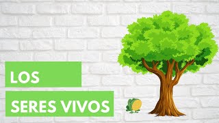 LOS SERES VIVOS 🌳🐣 Características en común  Resumen para niños [upl. by Ardnama]