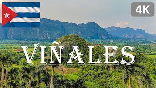 VIÑALES  CUBA  4K [upl. by Naie]