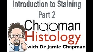 3 Min Histology Intro To Staining 2 [upl. by Yeo]