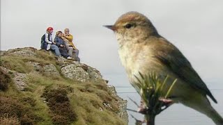 A la découverte des oiseaux migrateurs [upl. by Ayita929]