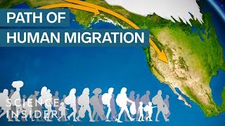 Map Shows How Humans Migrated Across The Globe [upl. by Sethi]