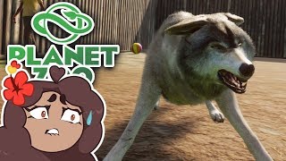 The END of Wolf Mountain 🐼 Daily Planet Zoo • Day 35 [upl. by Meakem354]