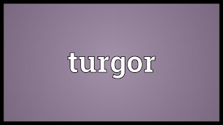 Turgor Meaning [upl. by Ina]