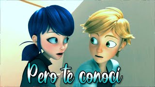 Pero te conocí ReikMiraculous Ladybug Adrien x Marinette [upl. by Junji]