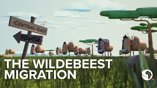 The Great Wildebeest migration explained An animation [upl. by Harad]