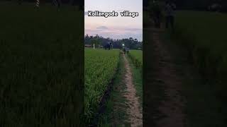 Kollengode village [upl. by Daughtry]