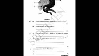 DownloadECZ Past PapersGrade 12 Biology 2016specimen [upl. by Suiratnod]