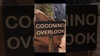 Coconino Overlook North Rim Arizona [upl. by Hubie]