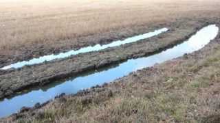 The importance of field drainage [upl. by Esinej373]