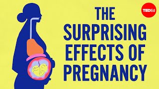 The surprising effects of pregnancy [upl. by Ihn]