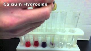 Acids amp Bases Activity using Universal Indicator Solution [upl. by Ealasaid]