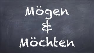 Mögen amp Möchten  German 1 WS Explanation  Deutsch lernen [upl. by Sy230]