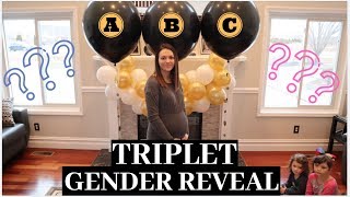 EPIC TRIPLET Gender Reveal  1 IN 30000 CHANCE [upl. by Tenahs]