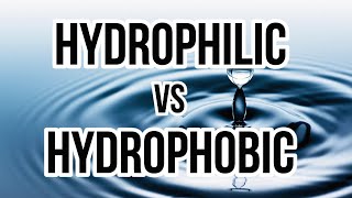 Hydrophilic vs Hydrophobic [upl. by Downey]