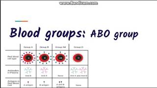 Blood grouping  ABO blood group system [upl. by Anuat]