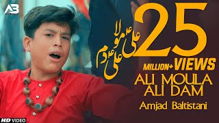 ALI MOLA ALI DAM DAM  AMJAD BALTISTANI  Official Video  TNA RECORDS [upl. by Gnouhp]